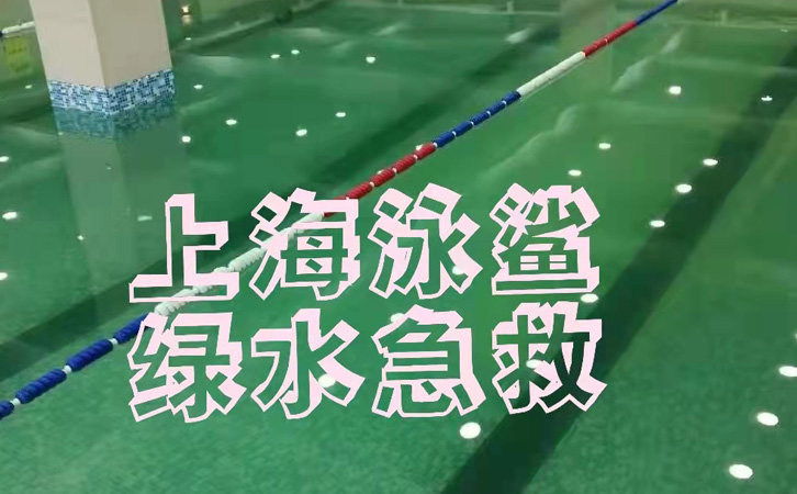 泳鲨水处理工程案例